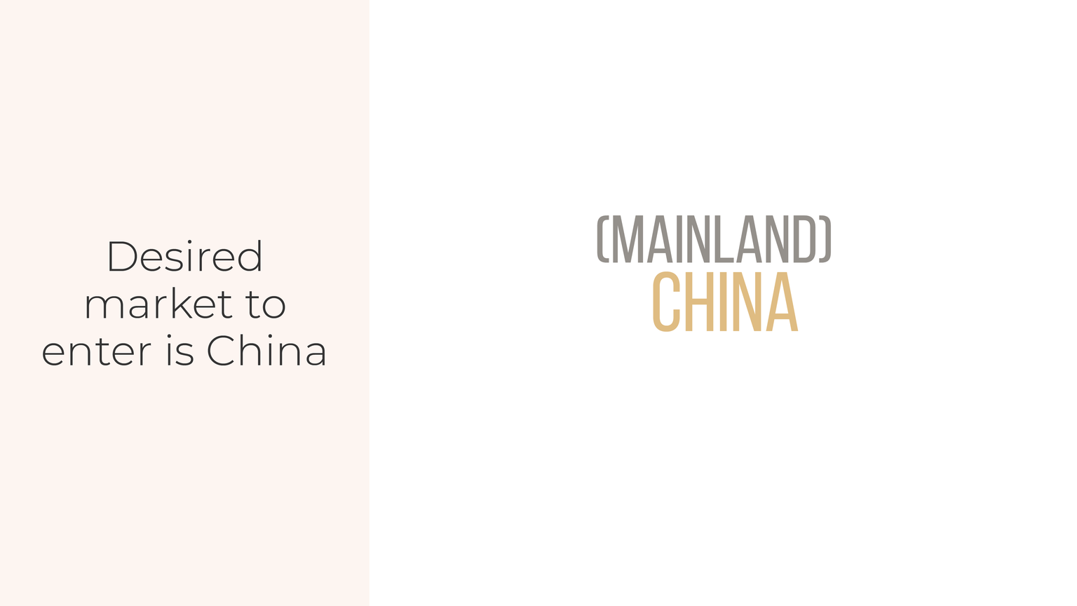 Slide from the unified retail platform concept presentation